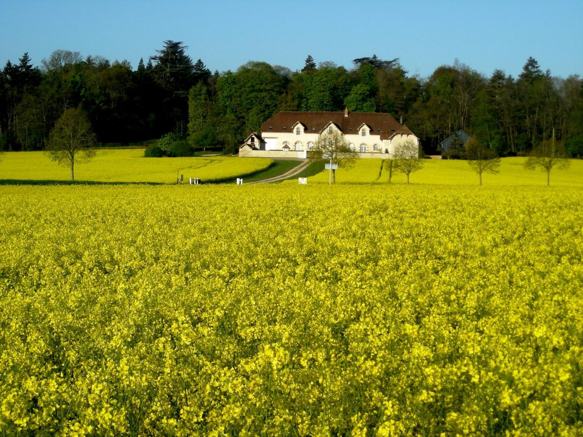 Domaine De La Maison Neuve Saint-Jean-Saint-Germain Bagian luar foto