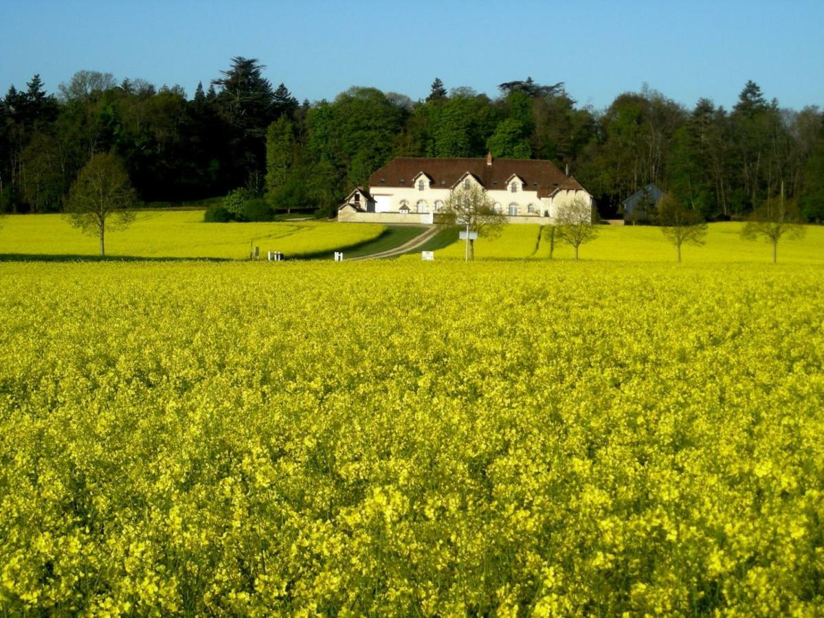 Domaine De La Maison Neuve Saint-Jean-Saint-Germain Bagian luar foto