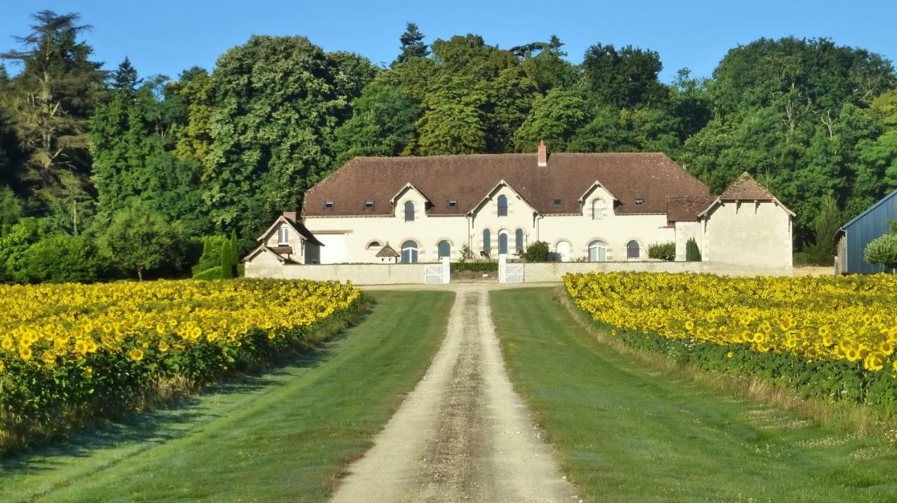 Domaine De La Maison Neuve Saint-Jean-Saint-Germain Bagian luar foto